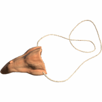 Crooked Nose