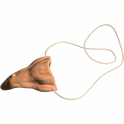 Crooked Nose