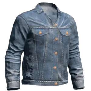 DenimJacket