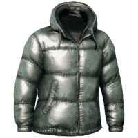Down Jacket