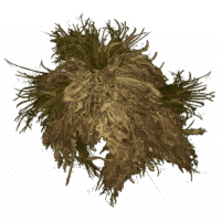 Ghillie Hood