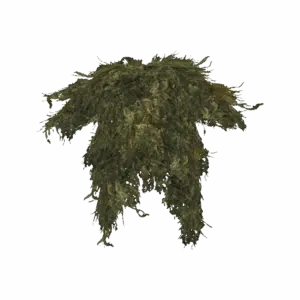 GhillieTop Woodland