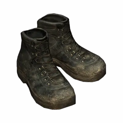 Hiking Boots