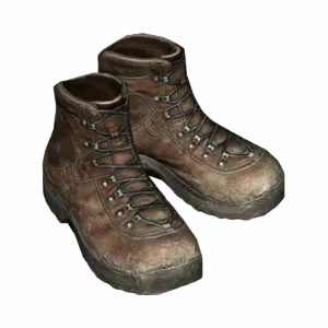 HikingBoots Brown