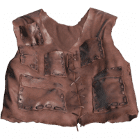 Leather Vest