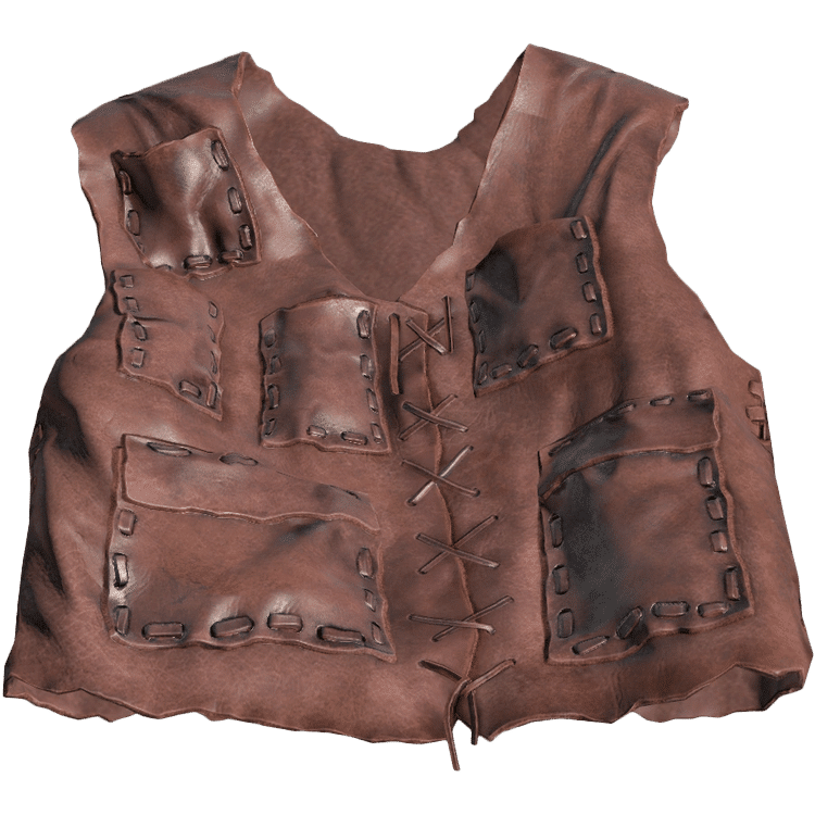 Leather Vest