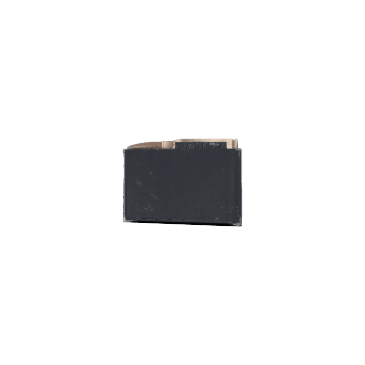 LeeEnfield Magazine 10rnd