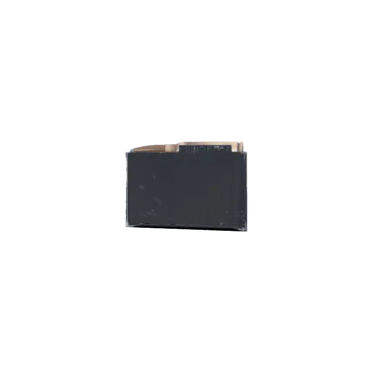 LeeEnfield Magazine 10rnd