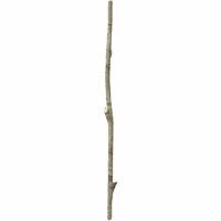Long Stick