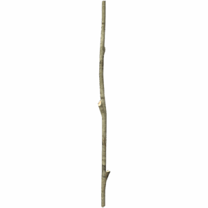 LongWoodenStick
