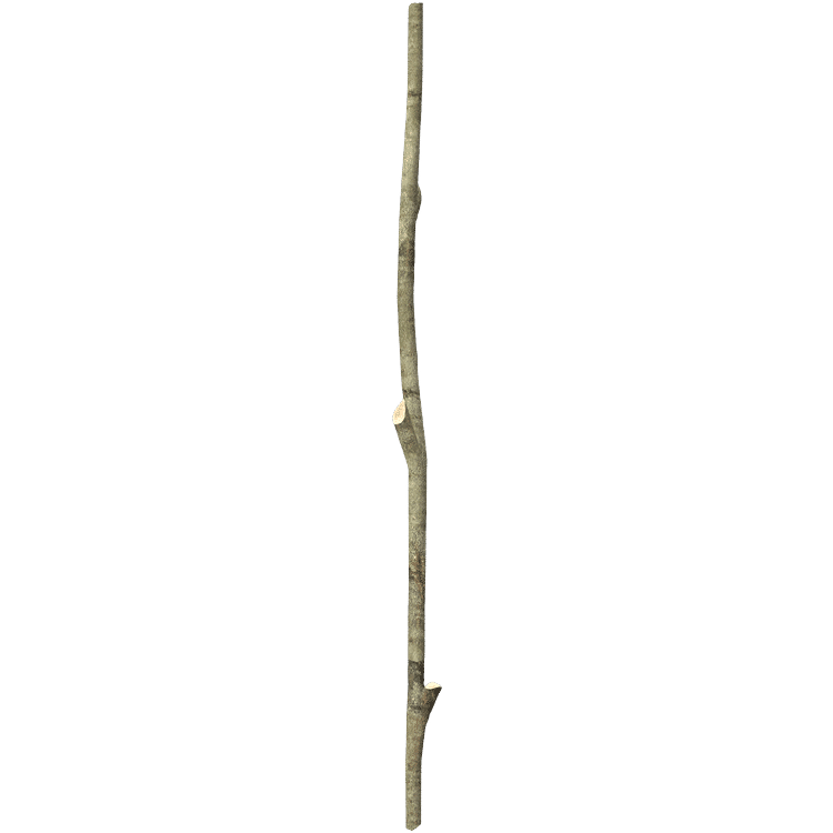 Long Stick