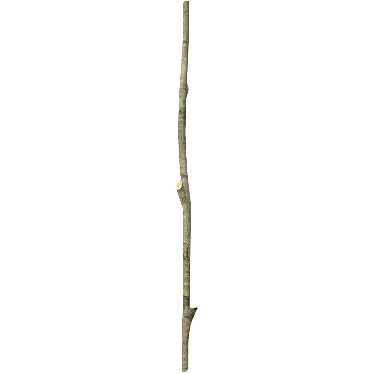 Long Stick