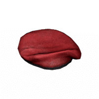 Beret
