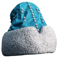 Morozko Hat