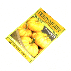 Packed Pumpkin Seeds