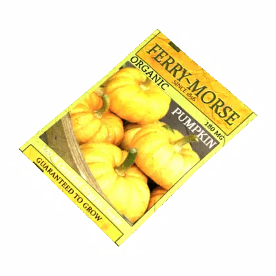 Packed Pumpkin Seeds