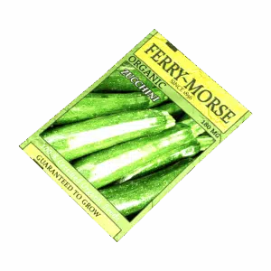 Packed Zucchini Seeds