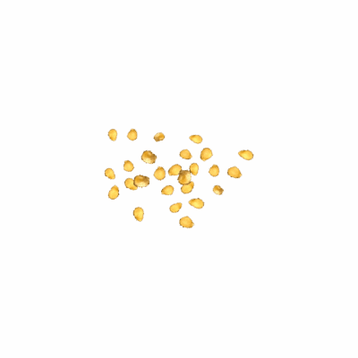 Pepper Seeds