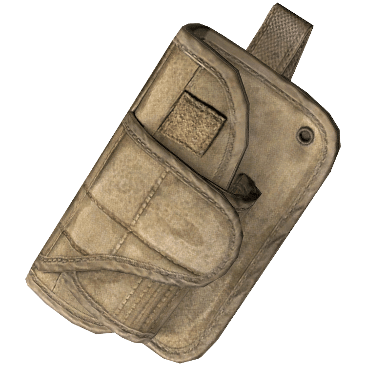 Holster