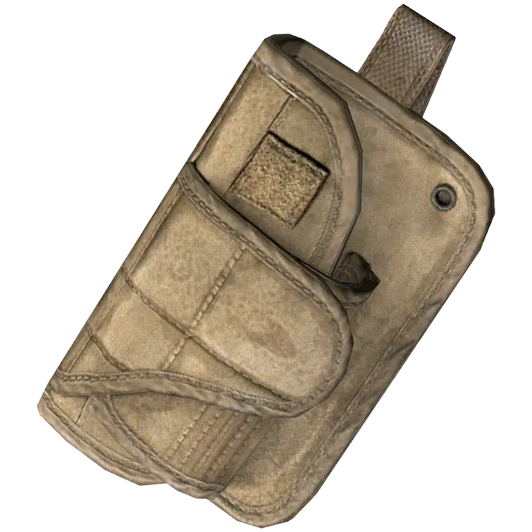Holster