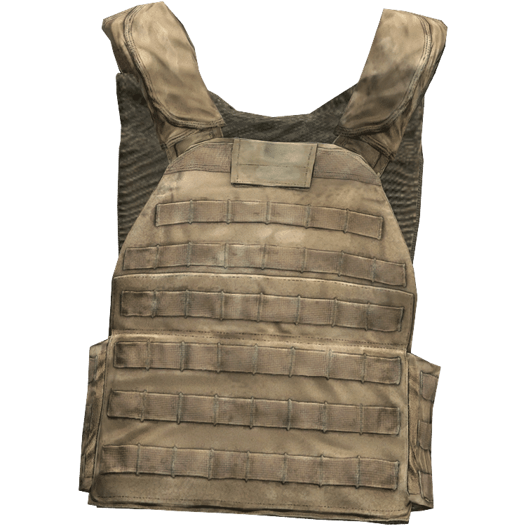 Plate Carrier