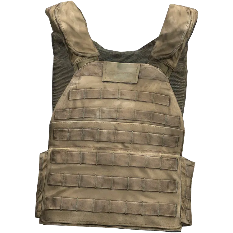 Plate Carrier