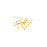 Pumpkin Seeds