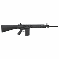 SR25