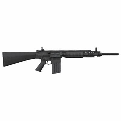 SR25
