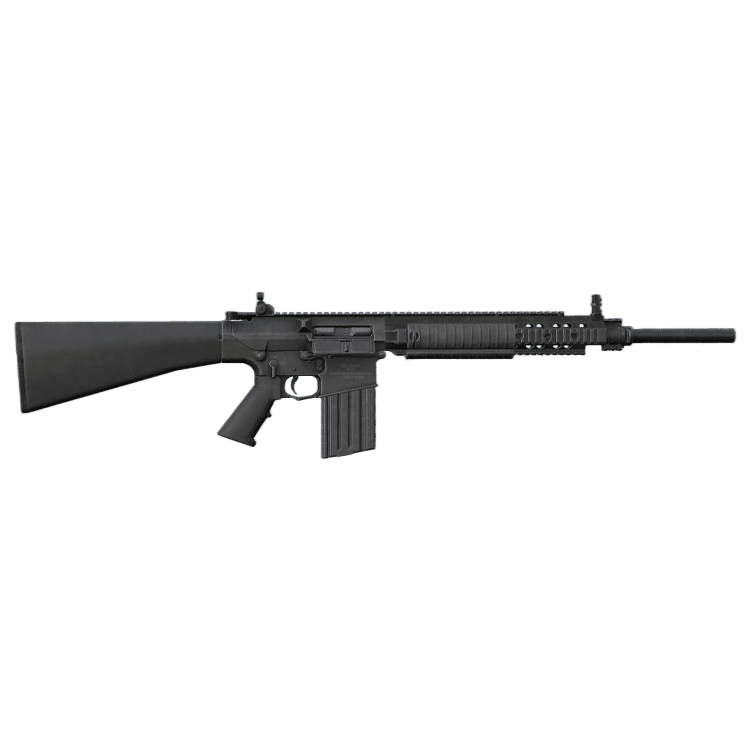 SR25