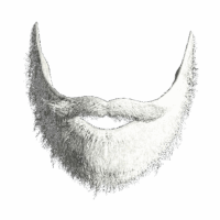 Santa Beard