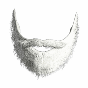 SantasBeard