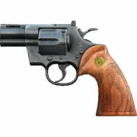 Sawed-off Revolver