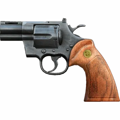 Sawed-off Revolver