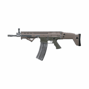 Scar L