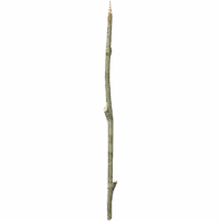 Sharpened Stick