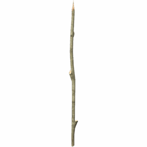 SharpWoodenStick