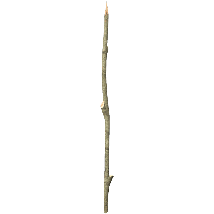 Sharpened Stick