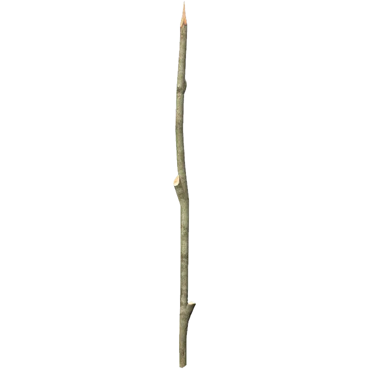 SharpWoodenStick