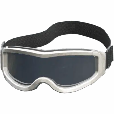 Ski Goggles
