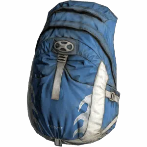 TaloonBag Blue
