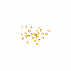Tomato Seeds