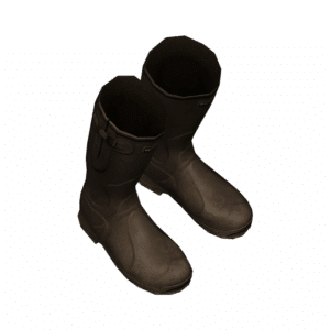 Wellies Brown