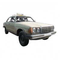 Mercedes 250 W123
